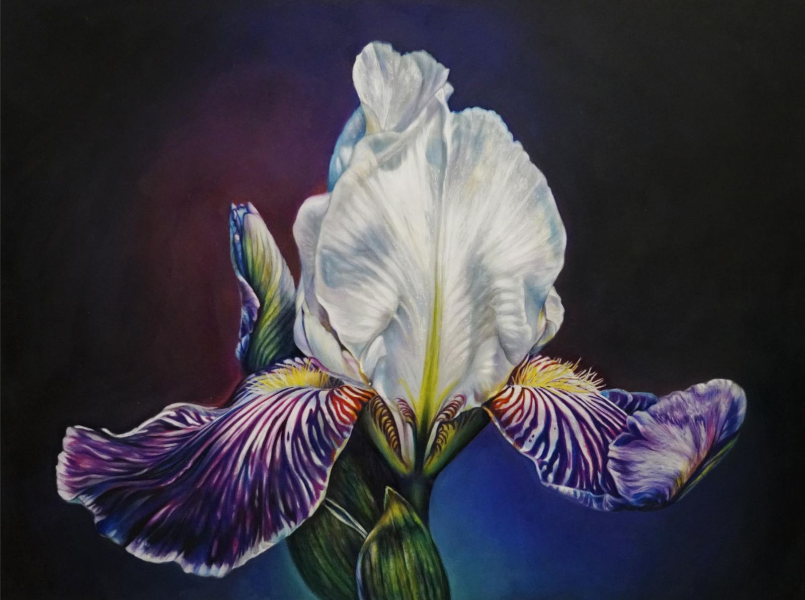 Dahlstedt-Barbara%20Color%20Runs%20Through%20My%20Veins%20Mixed%20Media%2018x24.jpg