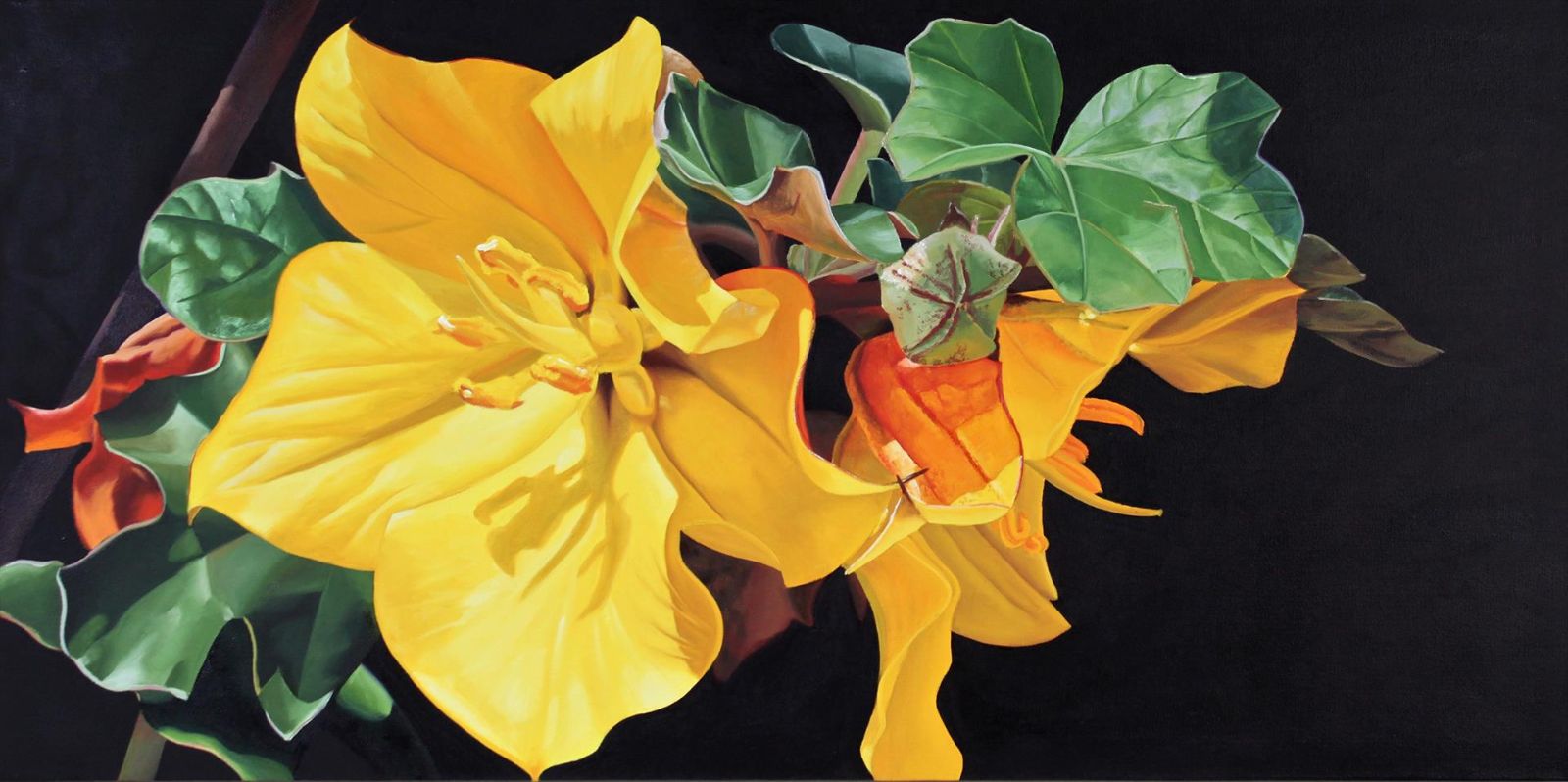 Rusczyk-Vanessa%20Flannelbush%20Blooms%20and%20Bud%20Oil%2018x36.jpg