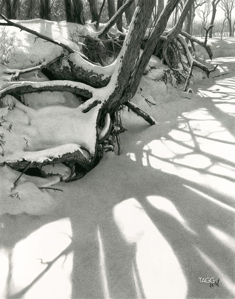 Jessica's Shadow Dance, 28x22, graphite by Kim Taggart